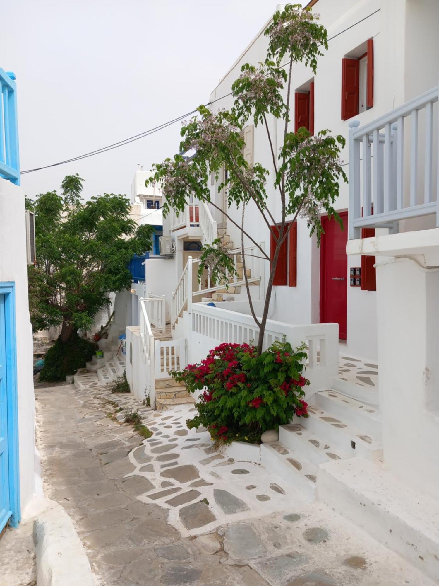Alex Oldtown Sea View Rooms And Appartments Mykonos Town Ngoại thất bức ảnh