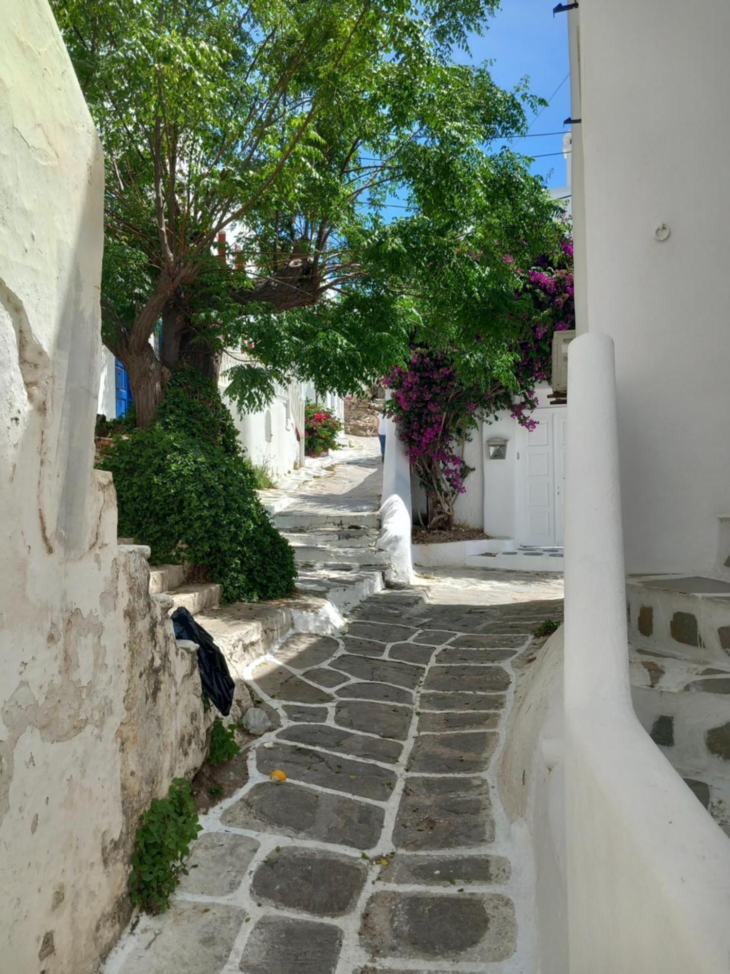 Alex Oldtown Sea View Rooms And Appartments Mykonos Town Phòng bức ảnh